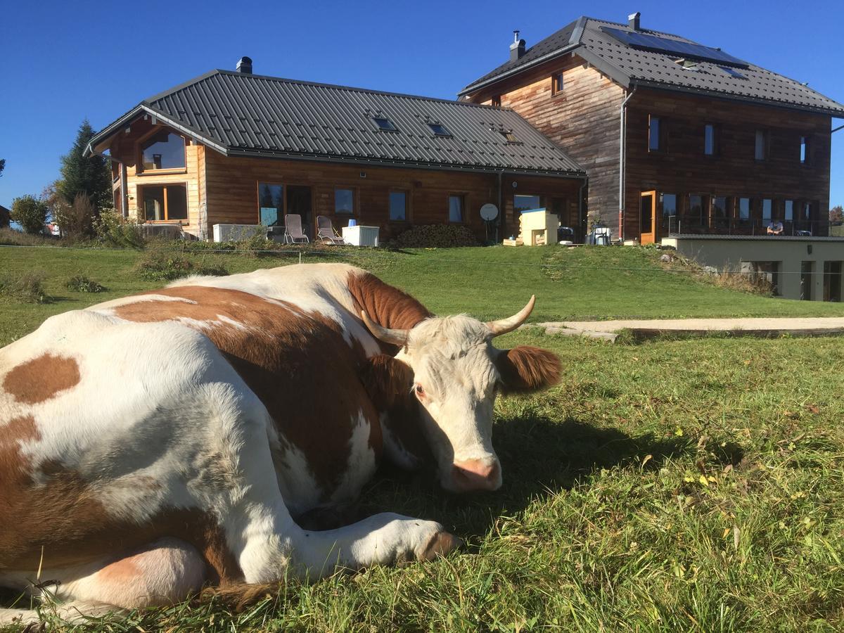 Hotel La Maison Des Inuits Septmoncel-Les-Molunes Exteriér fotografie